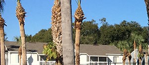 Latitude 28 Apartments In Altamonte Springs Fl